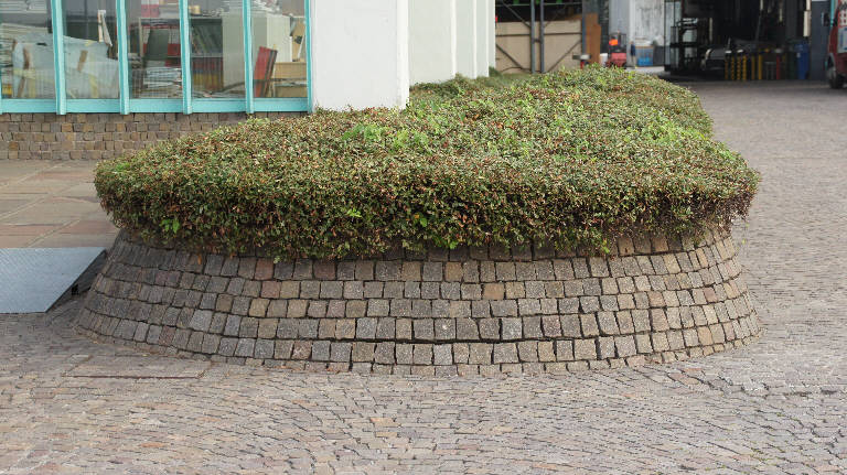 Particolare dell'aiuola