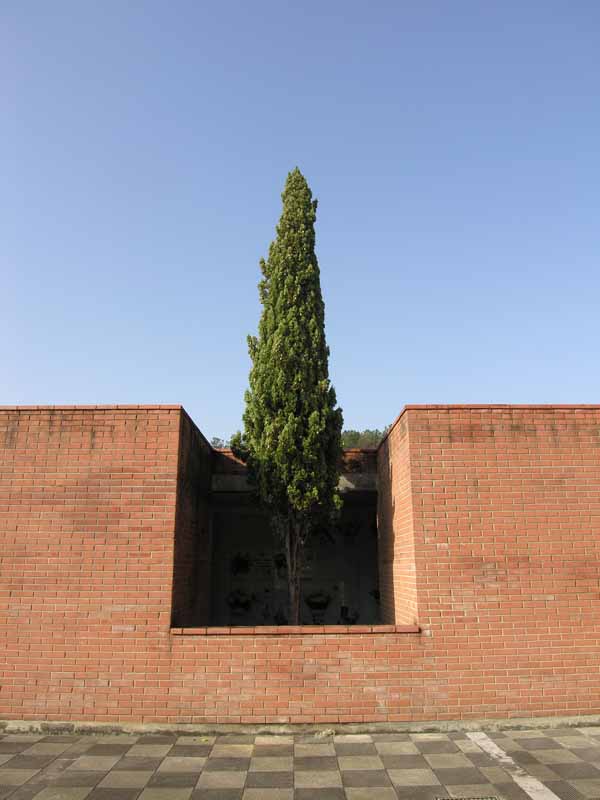 Vista esterna, dettaglio