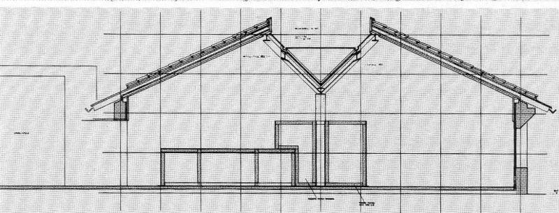 sezione longitudinale  (da Mancuso 1996, 227)