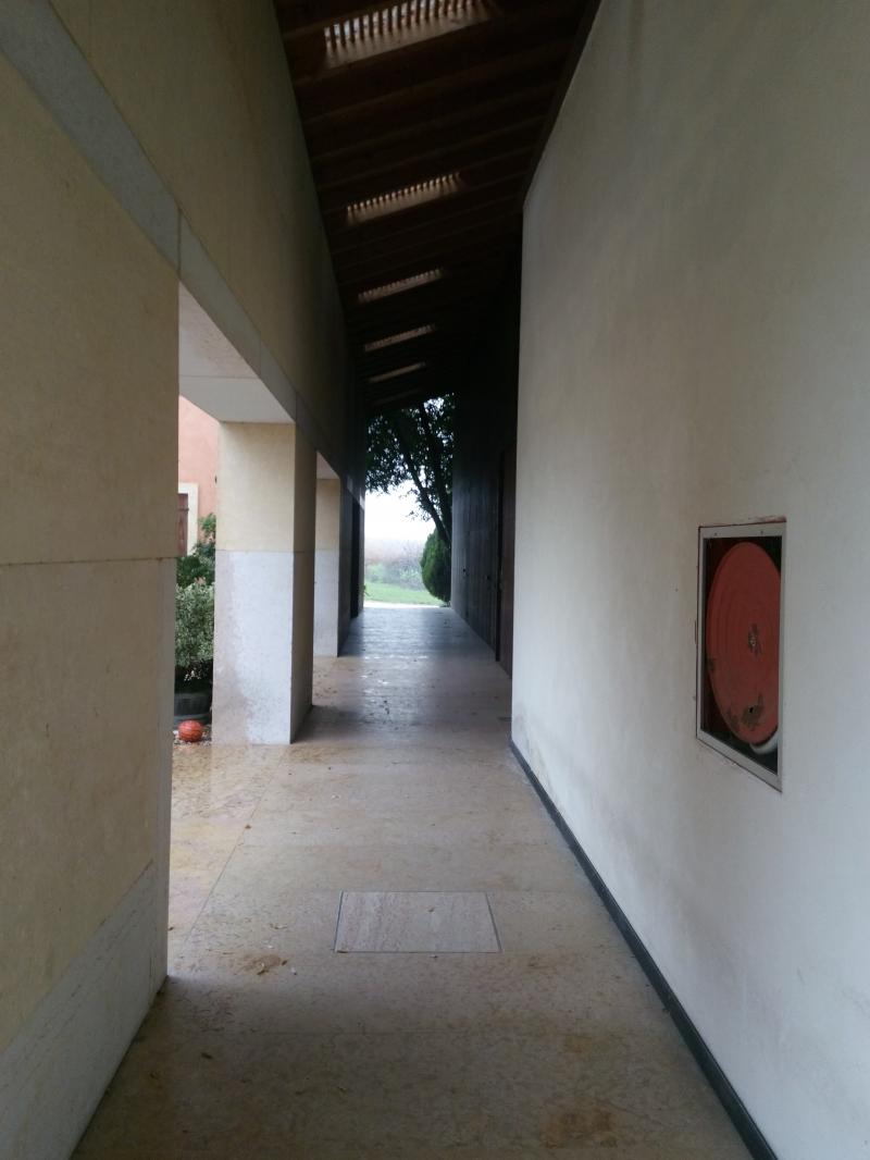 Il portico, vista verso nord-est e i vigneti