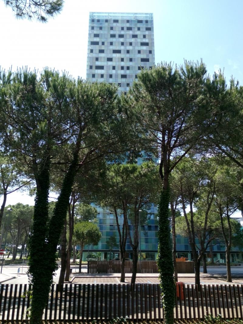 Torre, lato nord dal parco