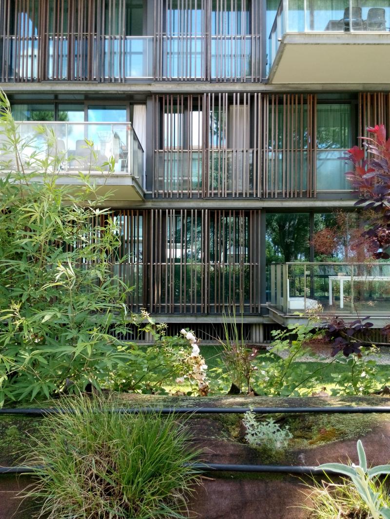 Condomini, lato ovest, dettaglio