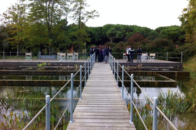 pontile d'accesso