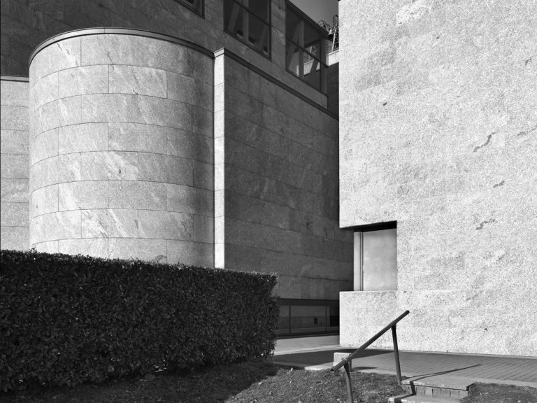 Particolare - Introini, Marco - 2015