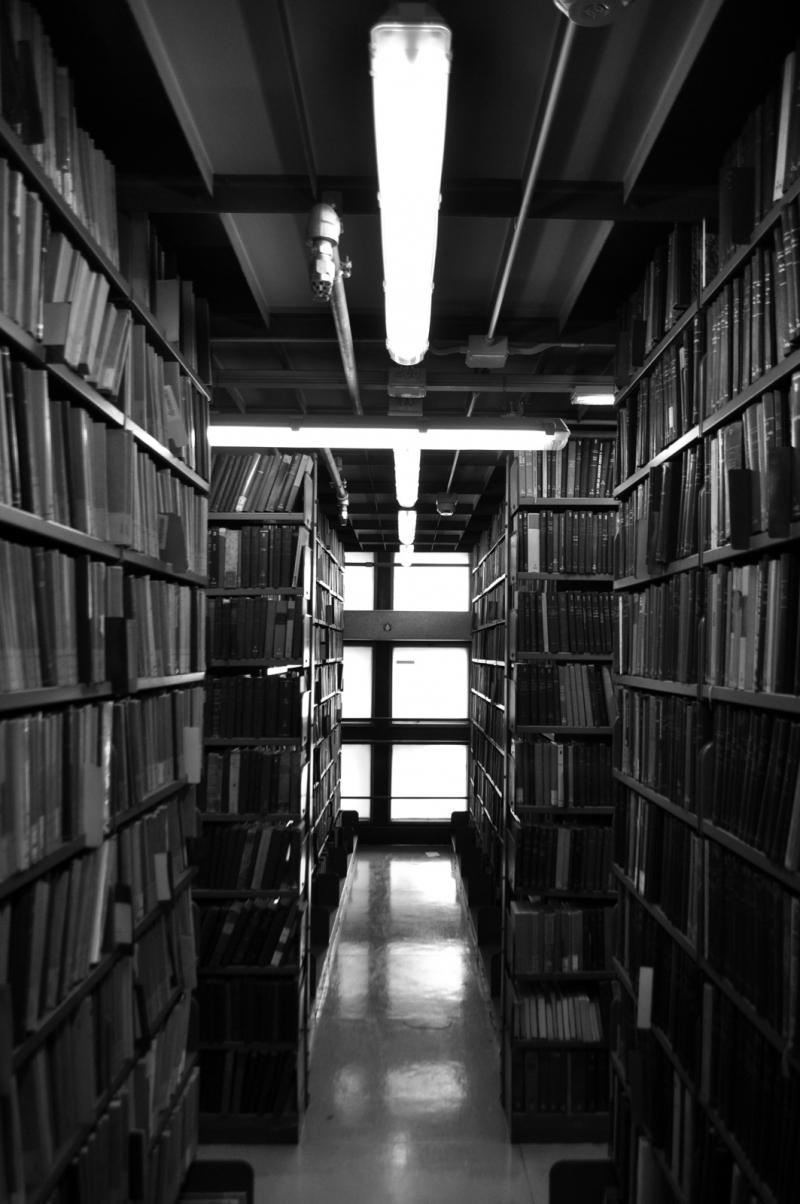 Interno della torre libraria con le aperture modulari quadrate su via della Guastalla