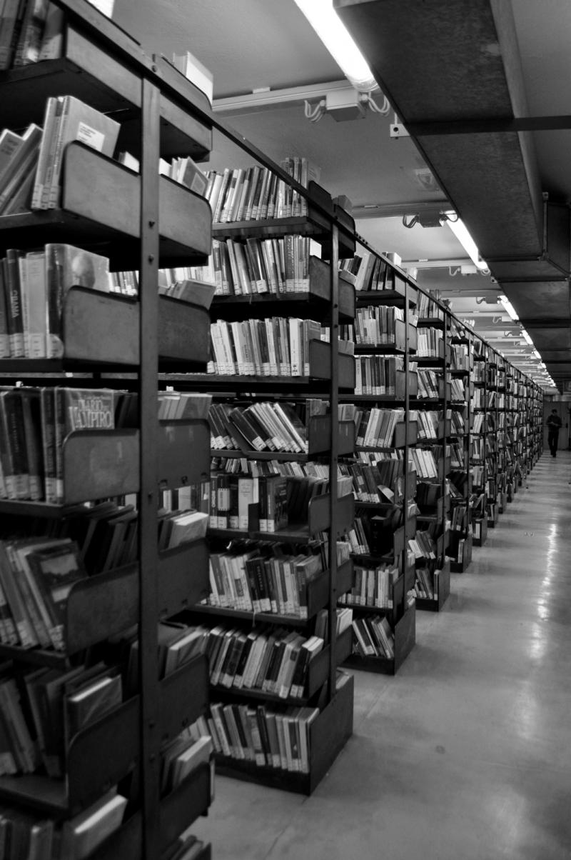 Interno, deposito libri