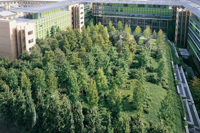 Vista della collina artificiale interna alla corte