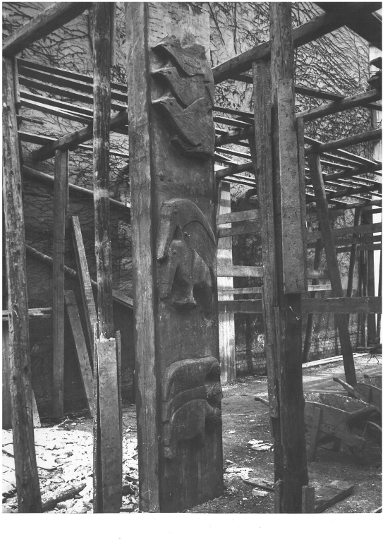 Particolare. Stampa fotografica b/n