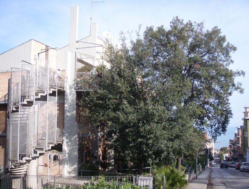 dettaglio scale esterne