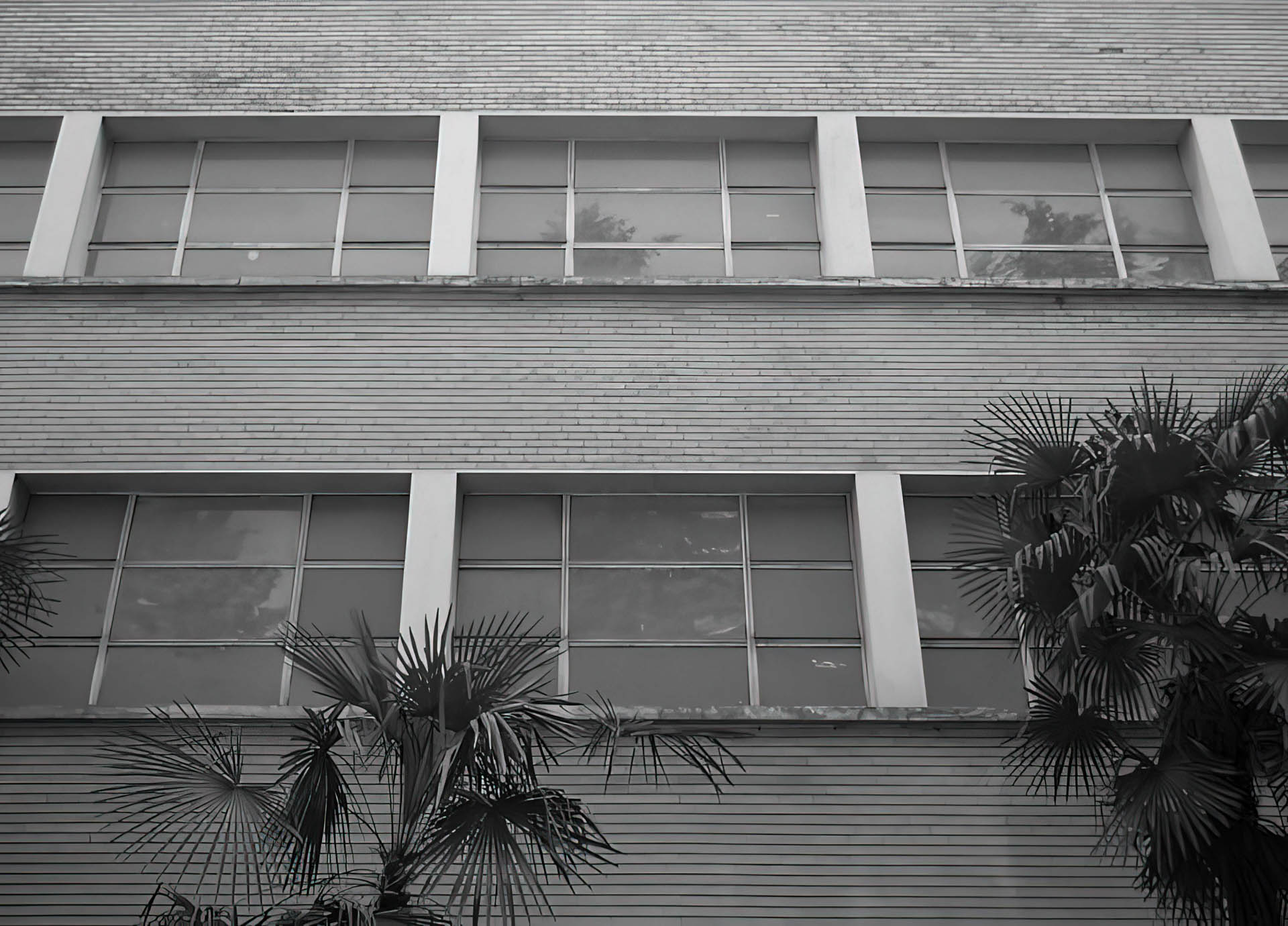 Particolare delle finestre