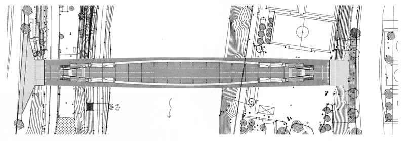 Pianta ponte