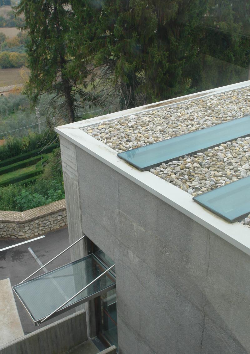 Casa dell'Oca. Particolare copertura