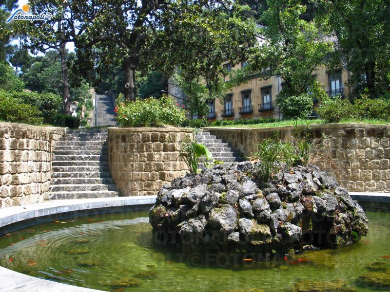 Vista della vasca d'acqua