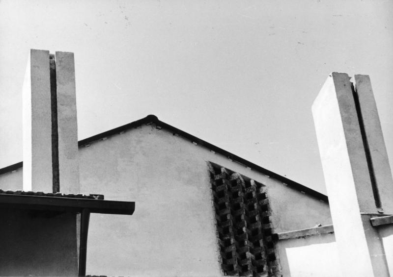 Particolare dei camini e del timpano di copertura 