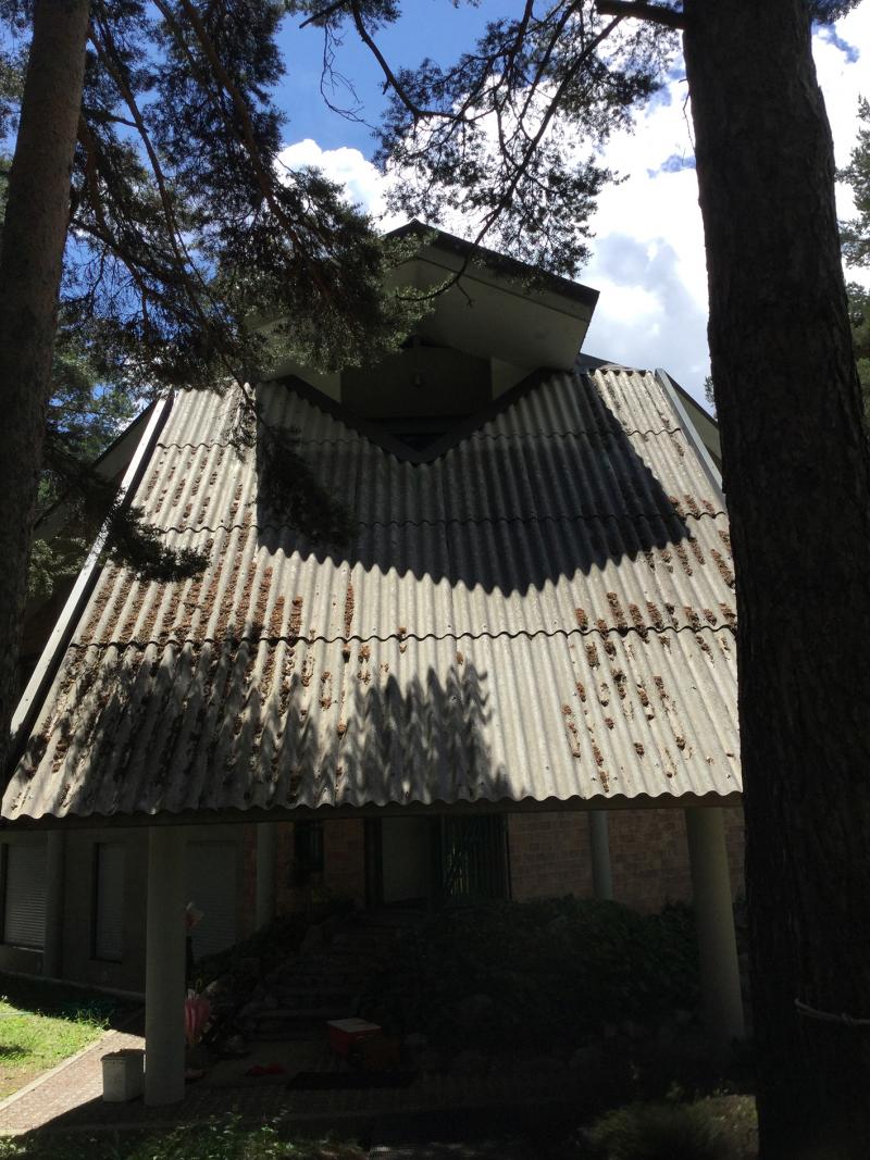 Dettaglio della copertura, 2019 