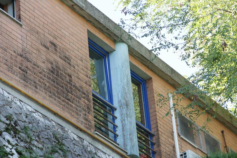 Particolare facciata