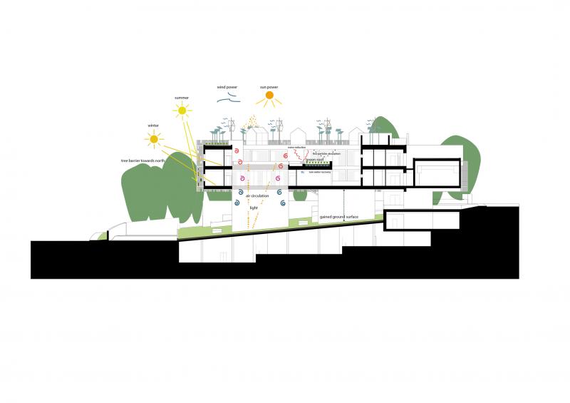 Disegno di progetto, sezione