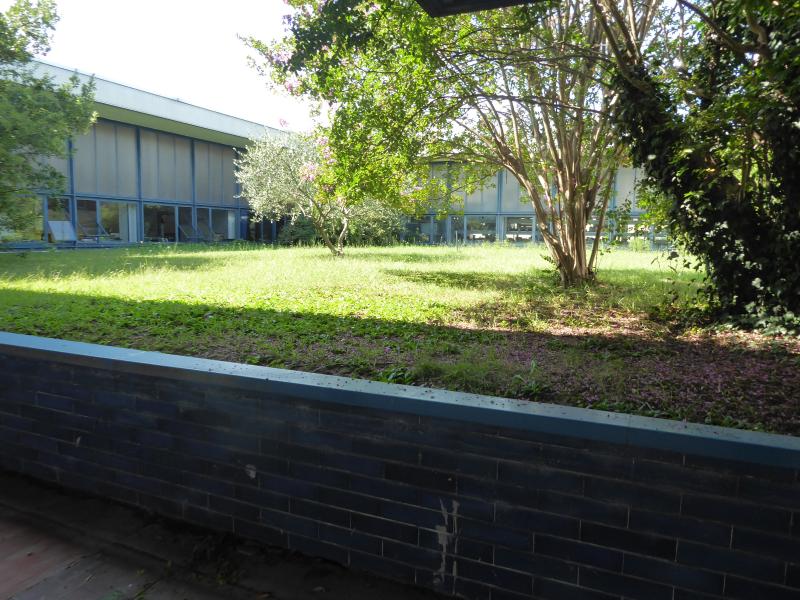 Vista esterna, patio, 2019