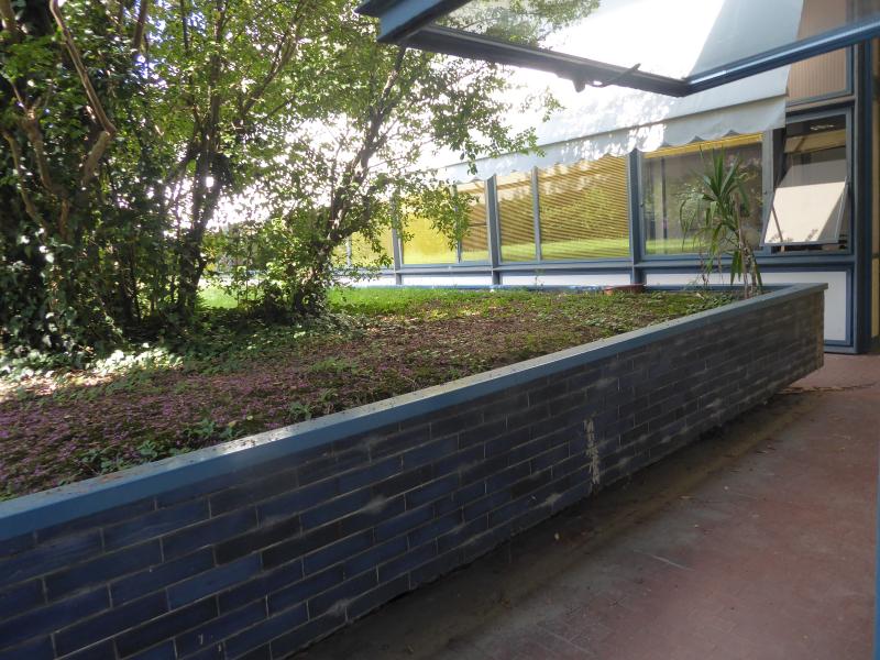 Vista esterna, patio, 2019