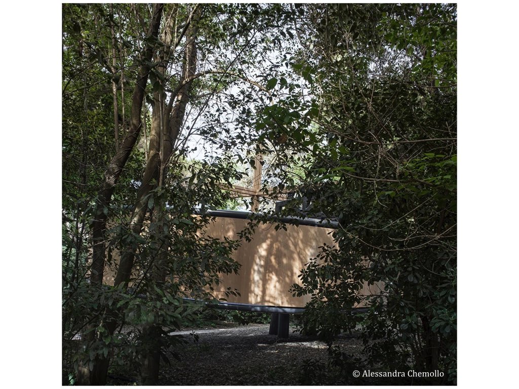 Vista della cappella dal bosco