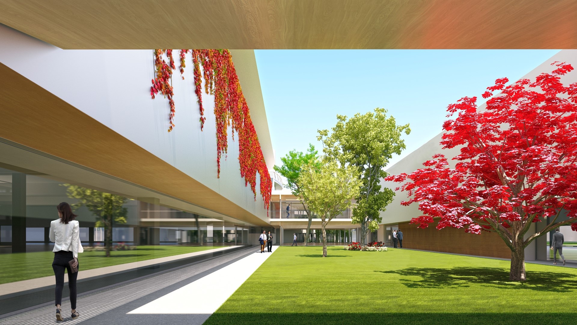 Render, giardino esterno