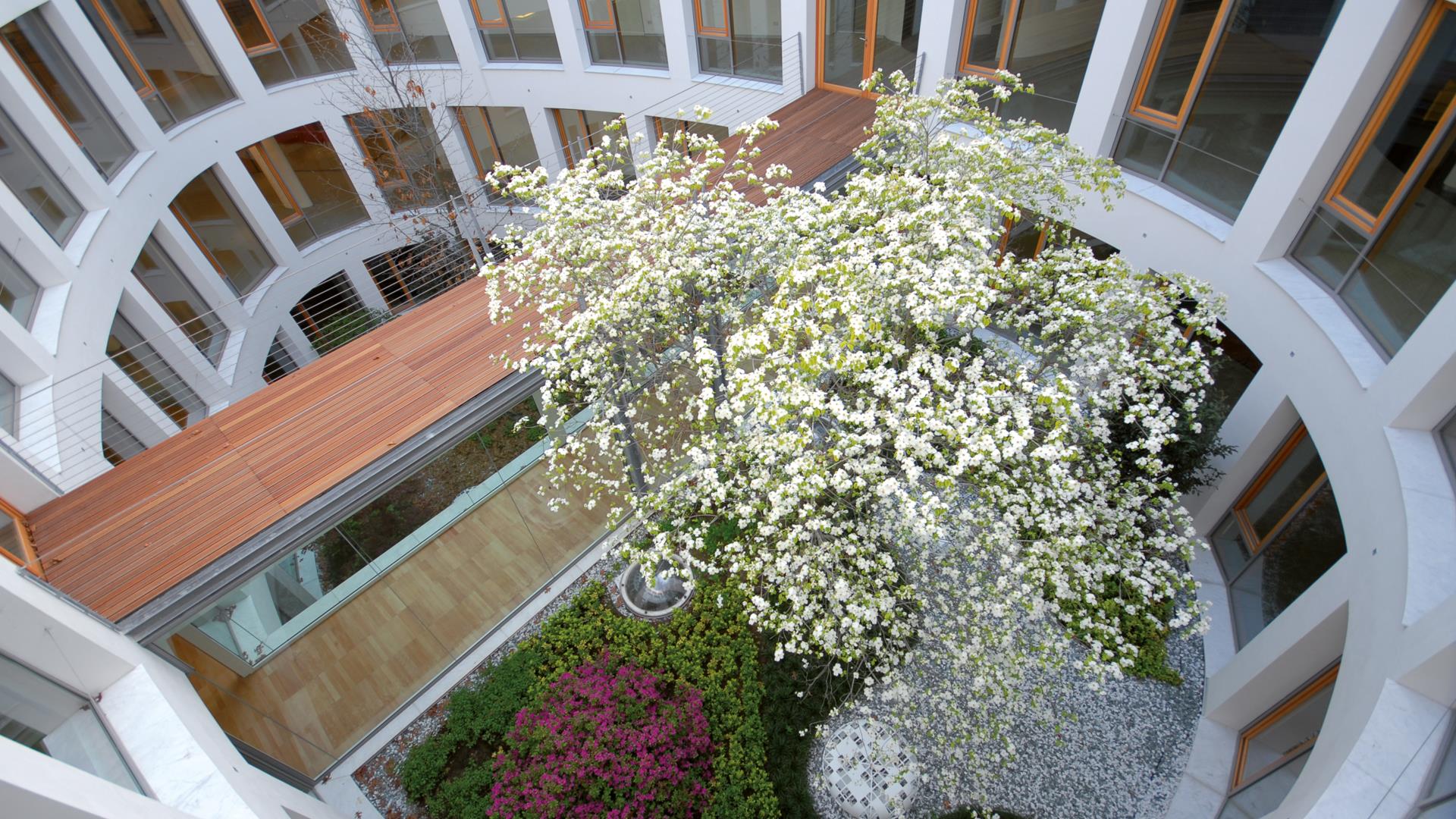 Vista dall'alto della corte interna