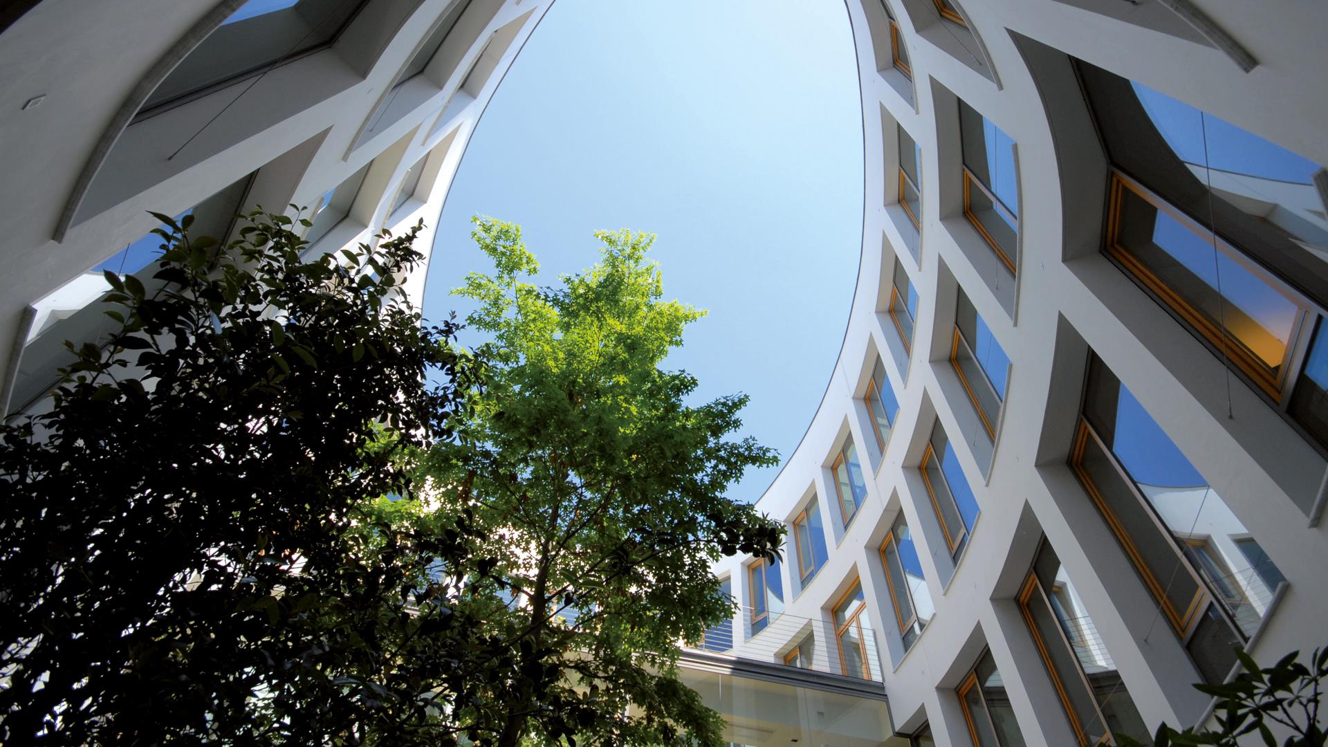 Vista del prospetto interno alla corte