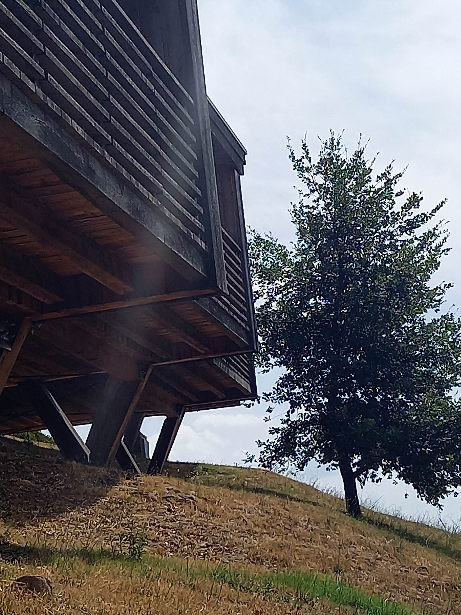 Dettagli costruttivi