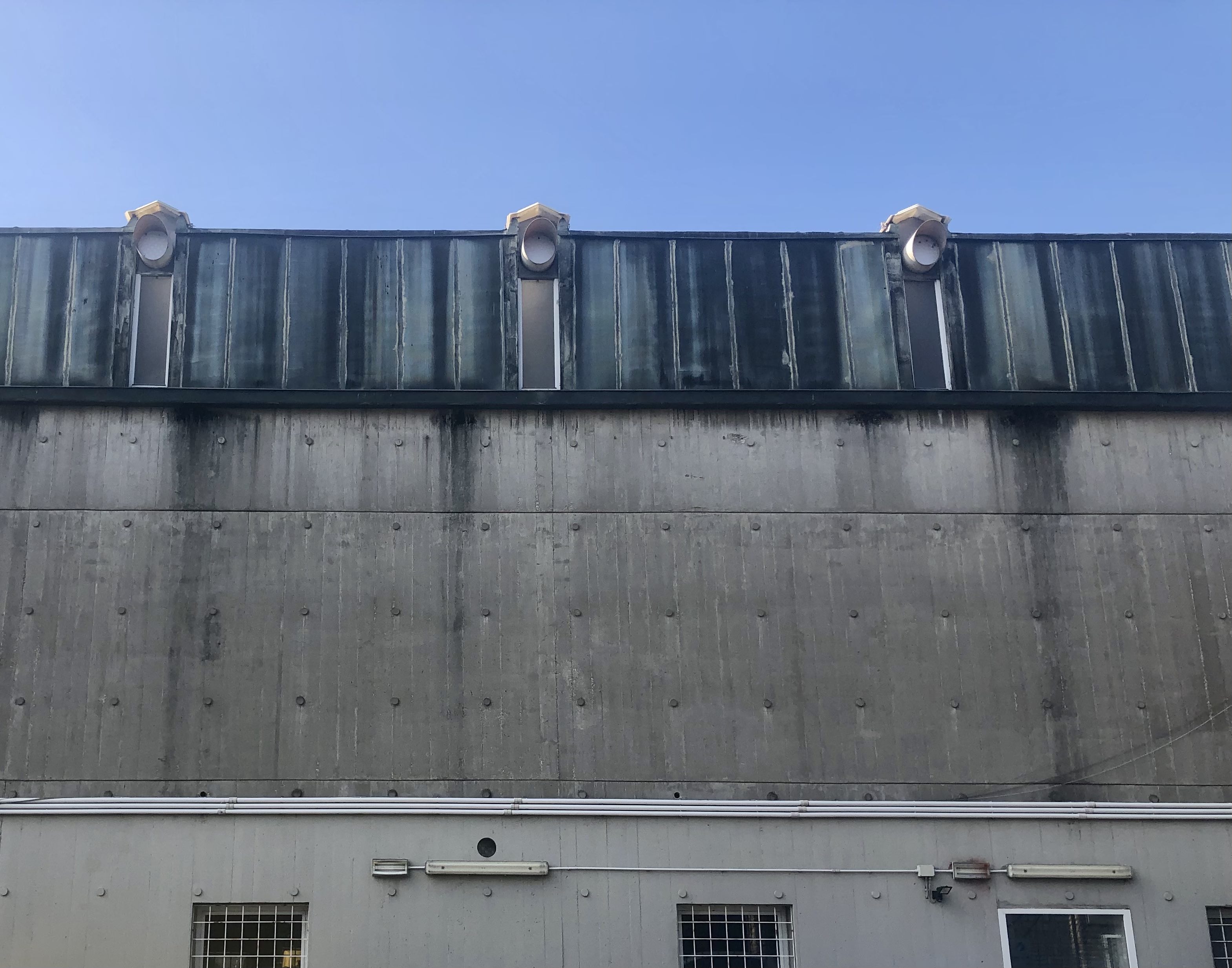 Prospetto est, dettaglio copertura