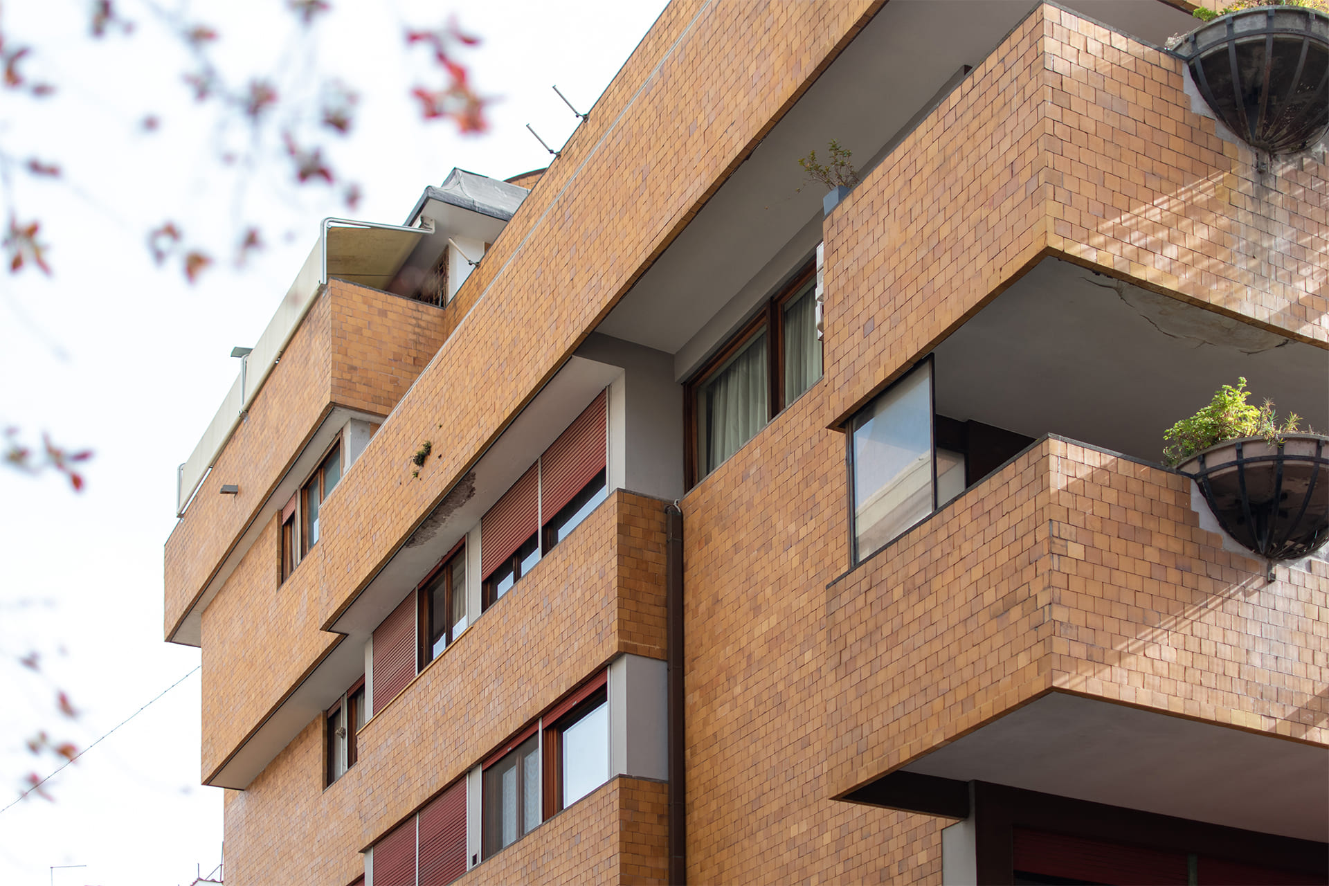 Dettaglio del rivestimento parietale