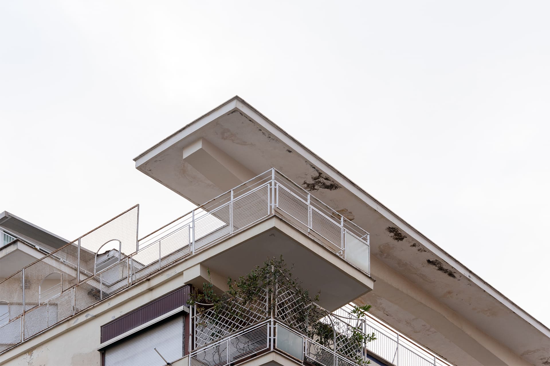 Particolare del coronamento