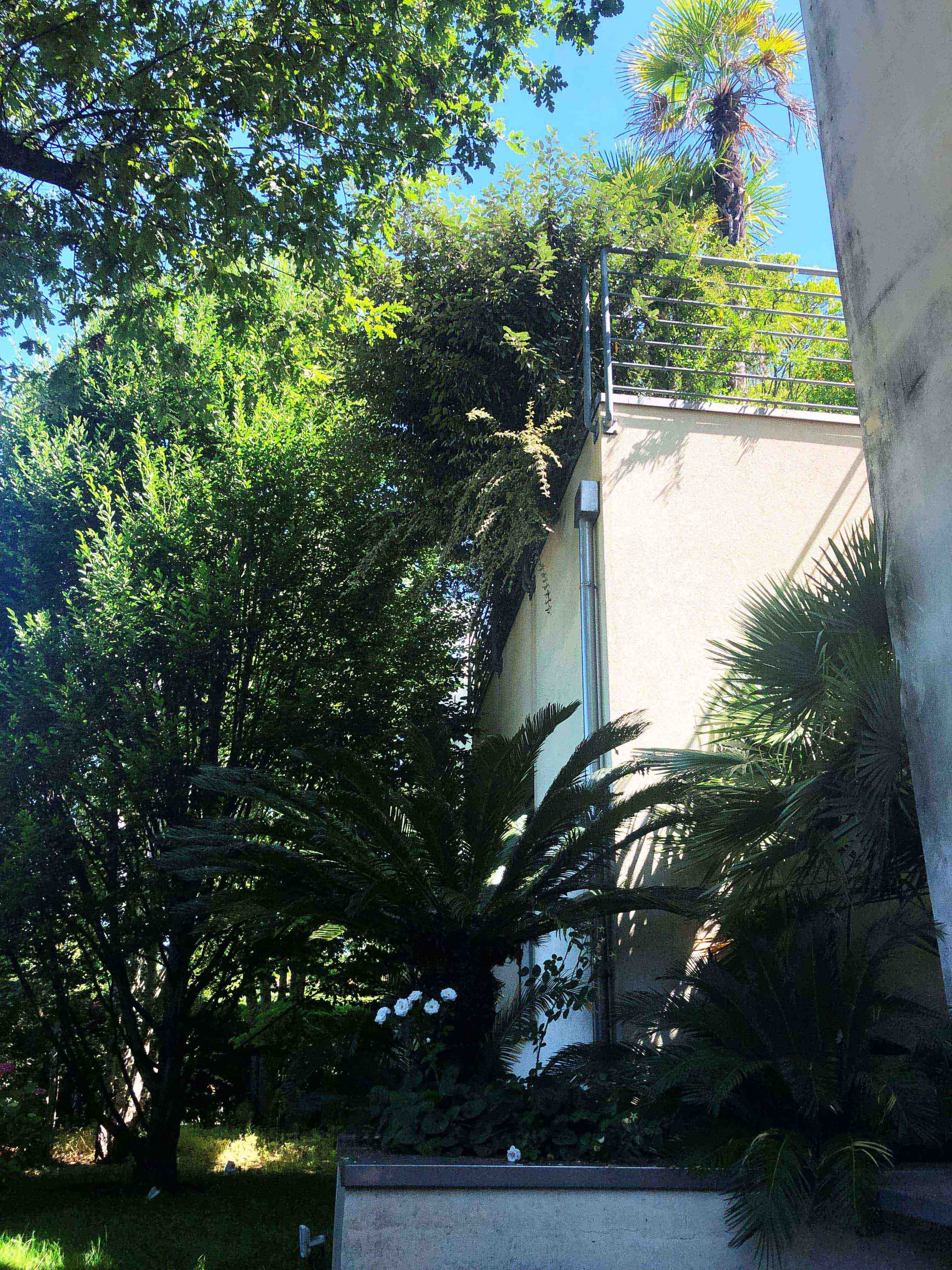 Dettagli - vasca verde, giardino pensile