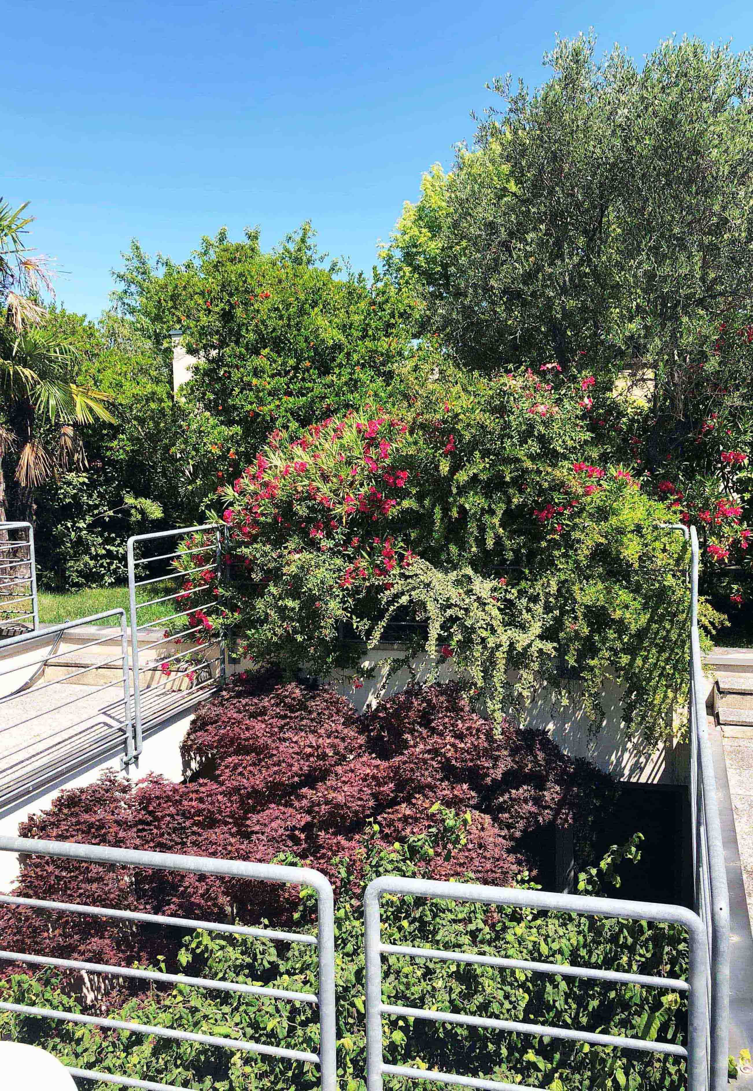 Vista esterni - giardino pensile