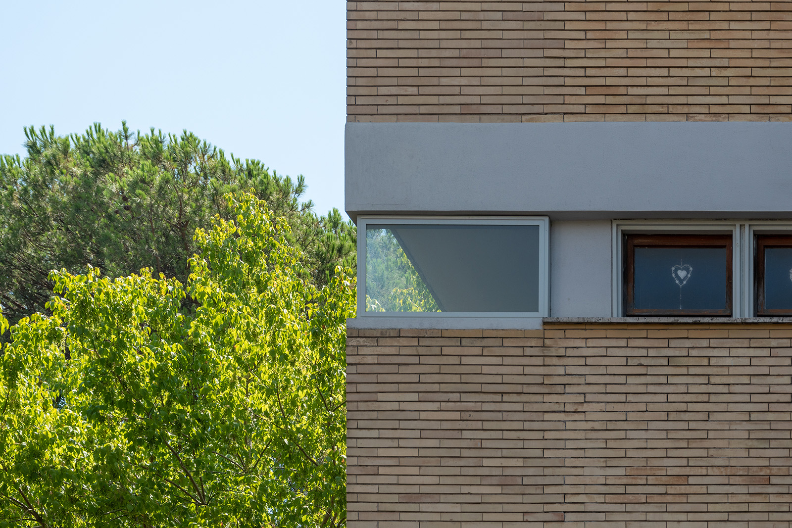 Particolare della parete 