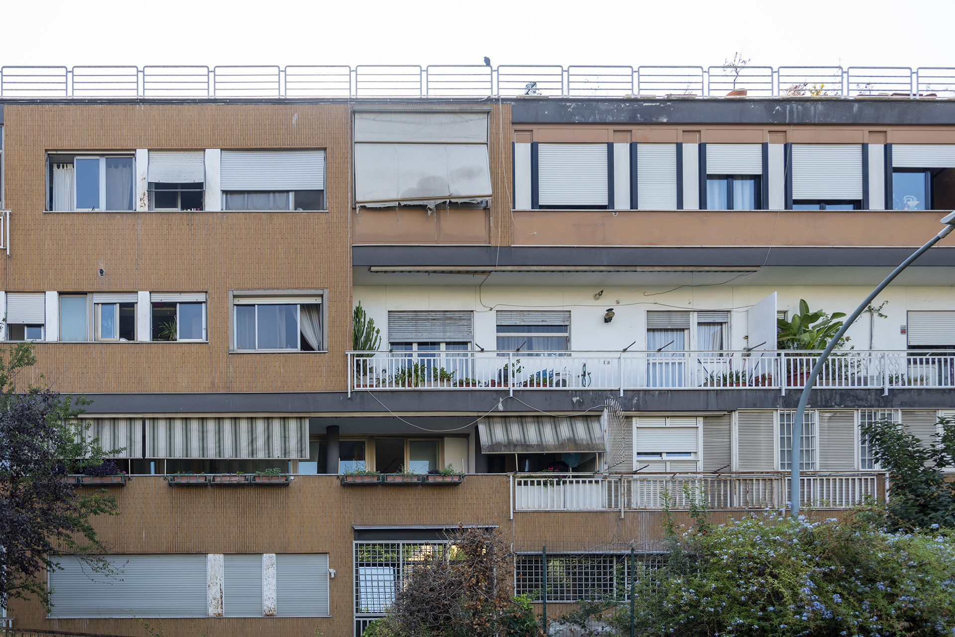 Stralcio di prospetto 