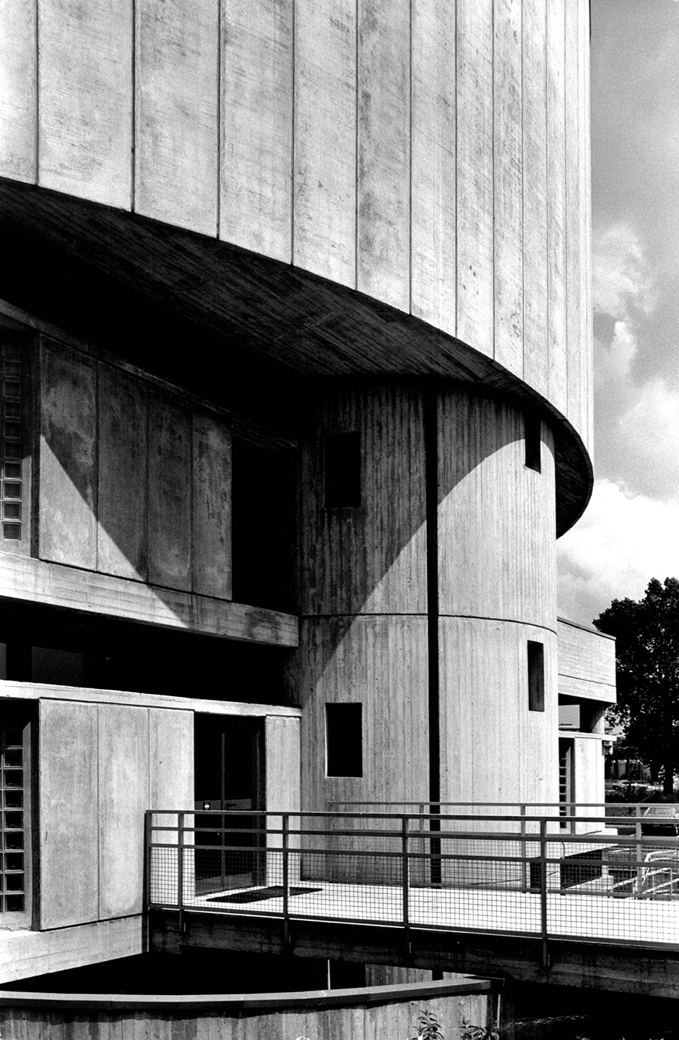 Municipio. Particolare