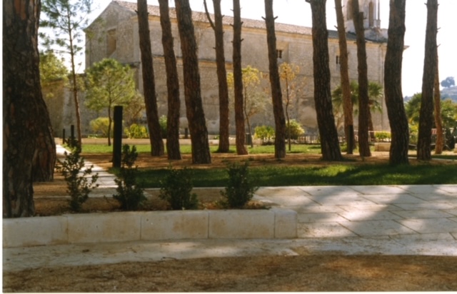 foto dell'intervento appena completato, area della pineta