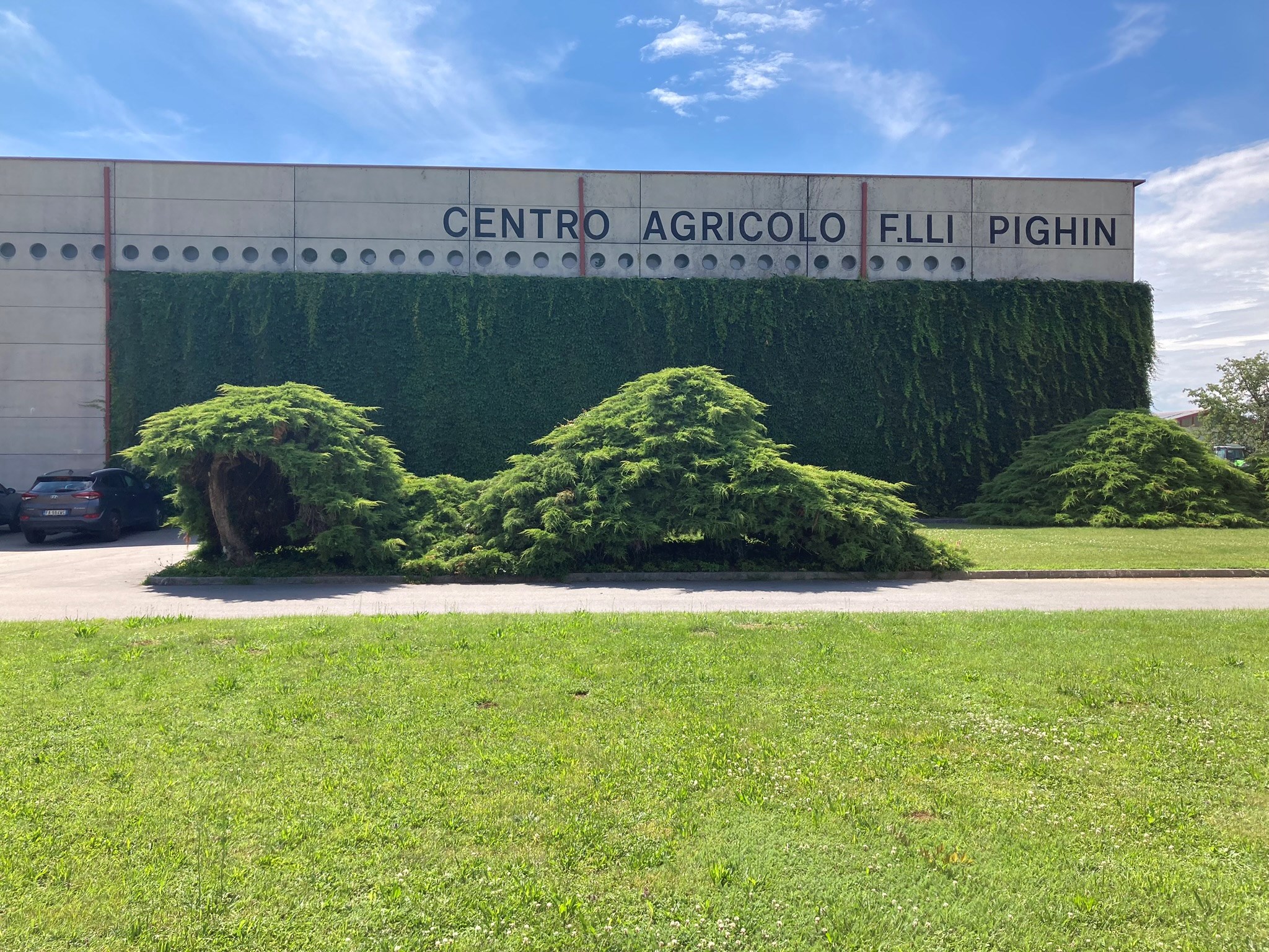 La parete verde fronte strada