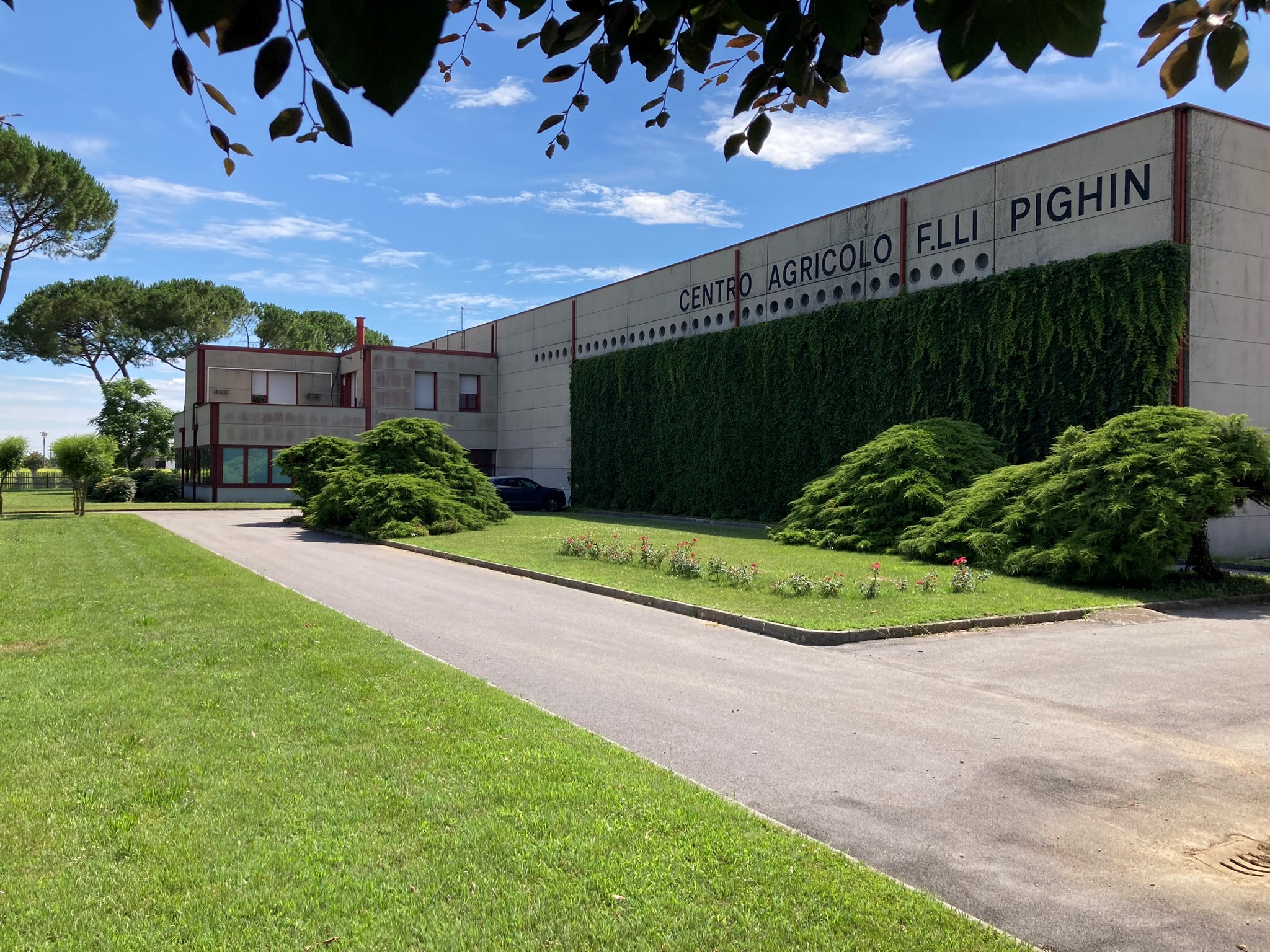 Il fronte strada con la parete verde