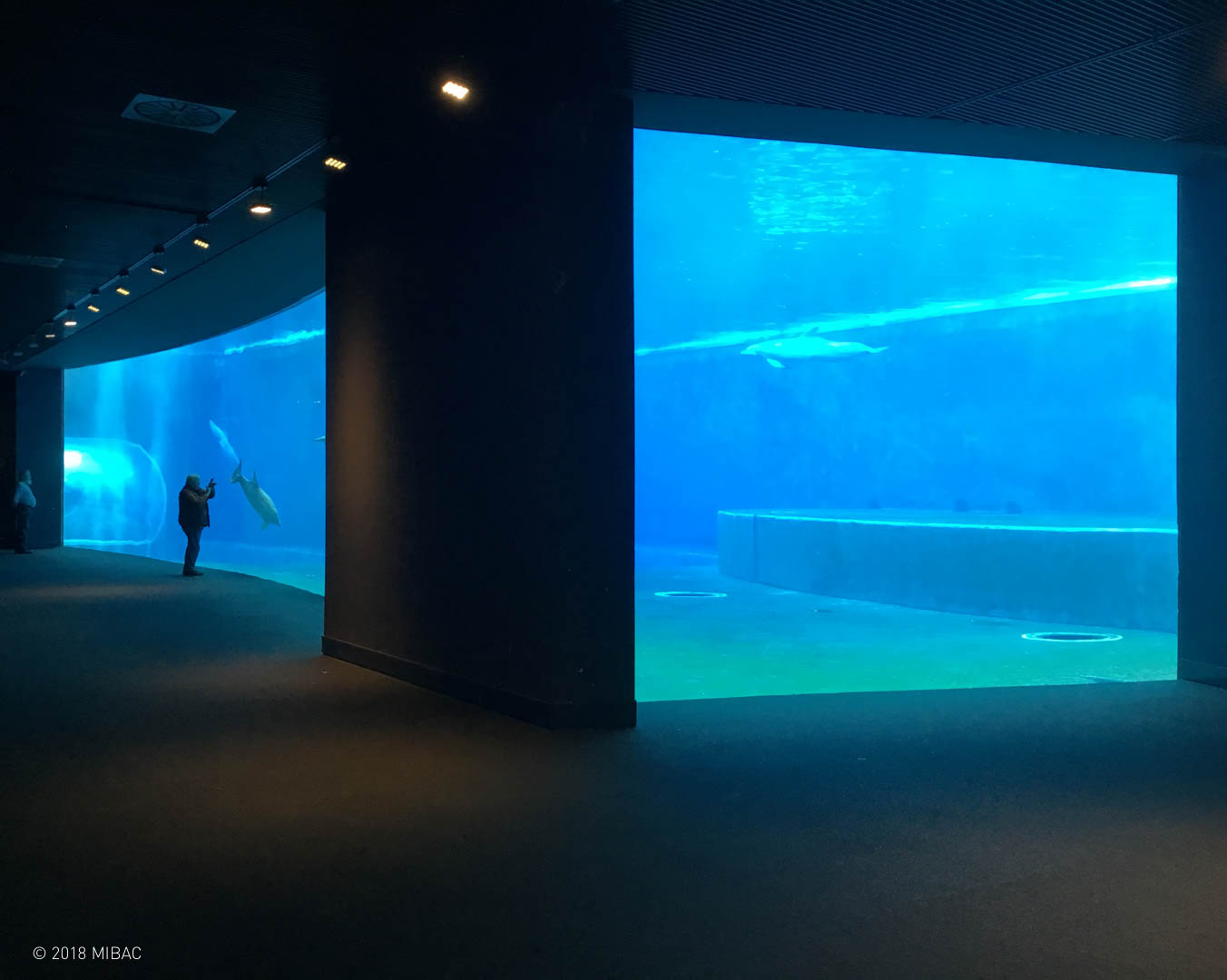 Vista degli interni high-tech progettati da Peter Chermayeff 