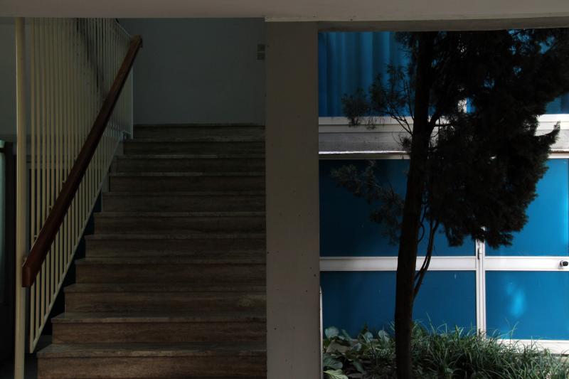 Dettaglio dell’ingresso