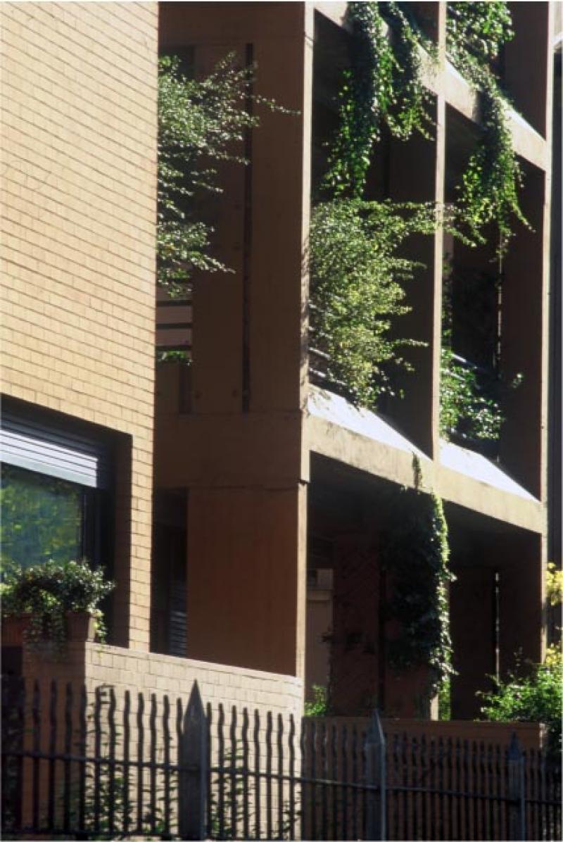 Dettaglio del fronte