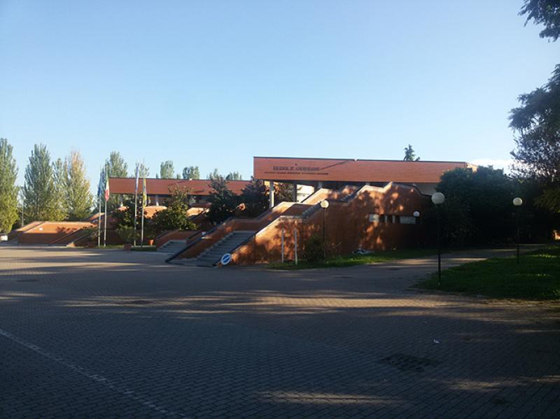 particolare scale d'ingresso (2015)