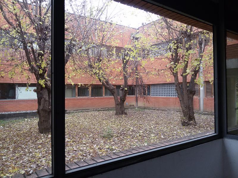 Vista della semi-corte posteriore (2015)