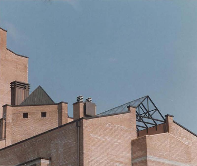 Particolare delle coperture del complesso