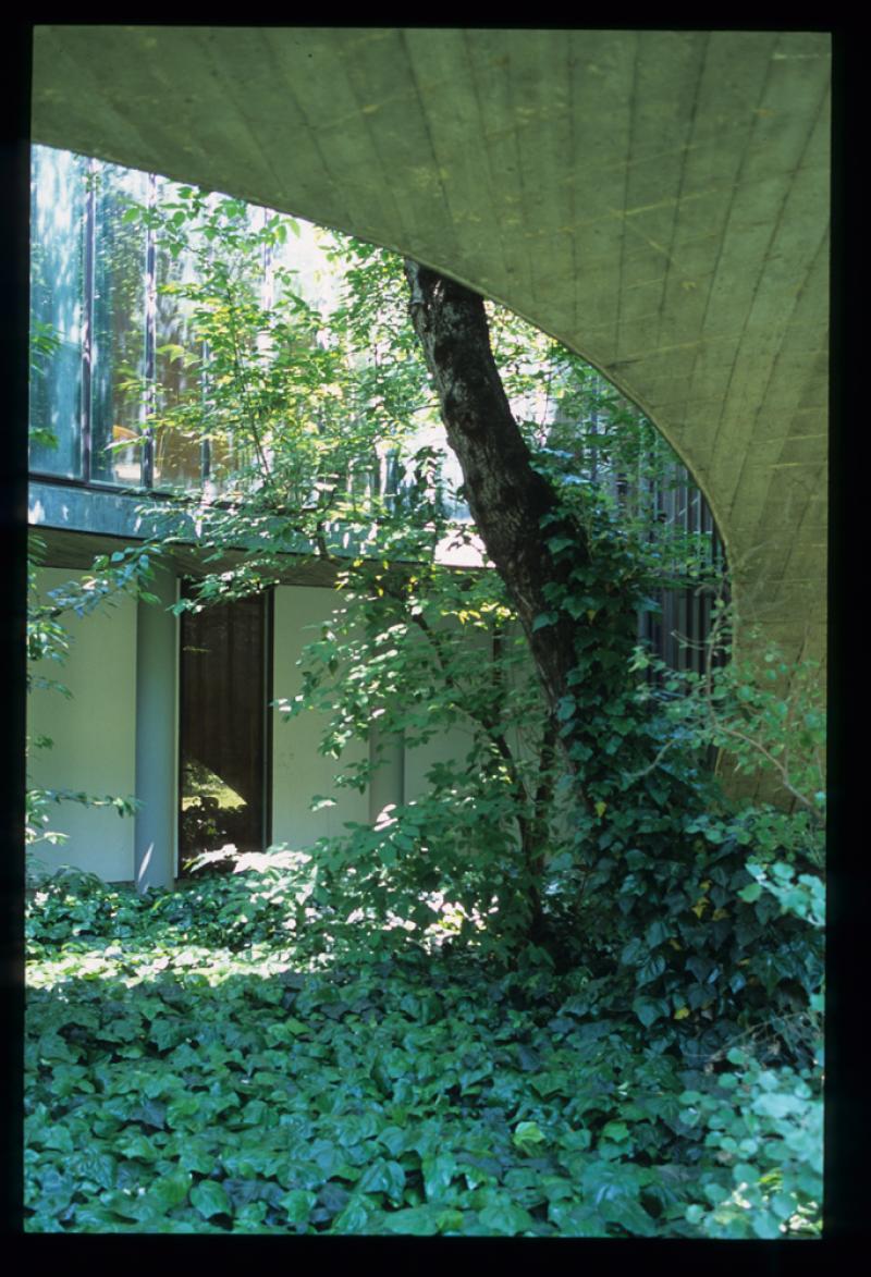 Vista della scala dal piano terra