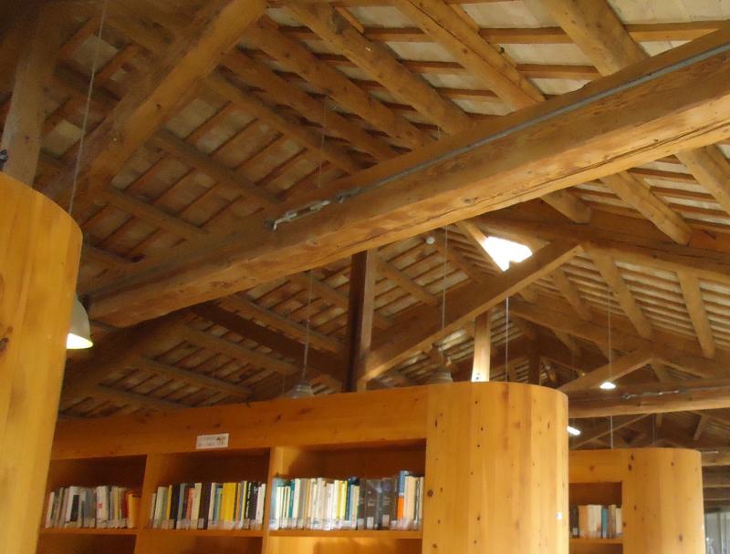 interni, dettaglio copertura