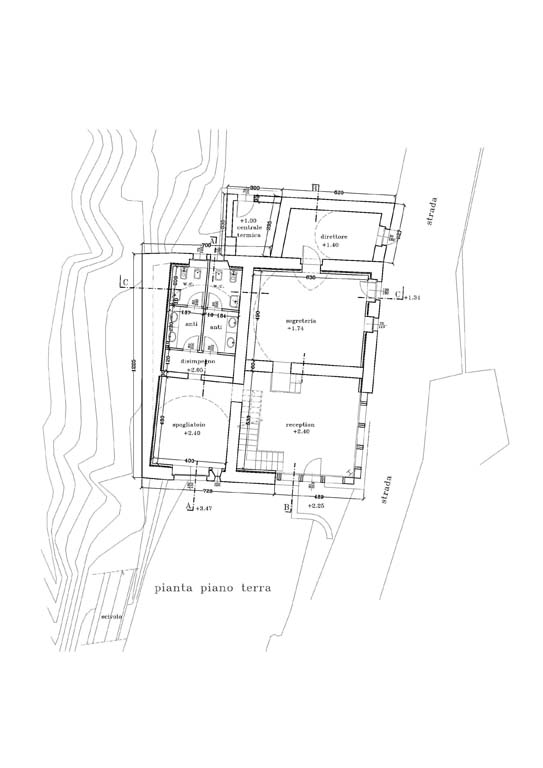 Pianta piano terra. Disegno tecnico digitale