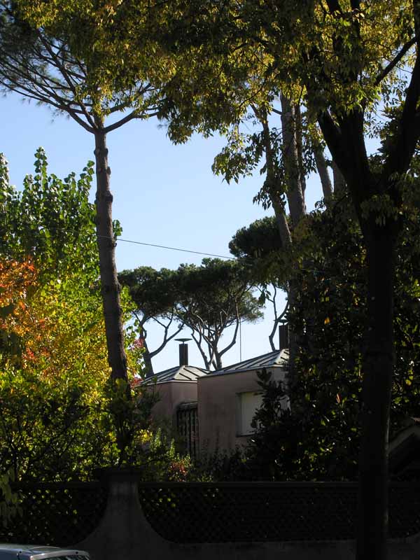 Vista esterna