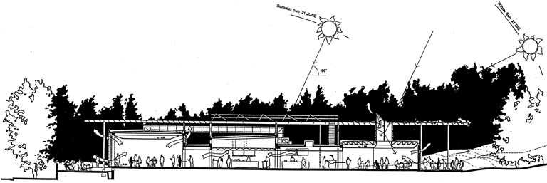 Sezione longitudinale. Disegno in formato digitale